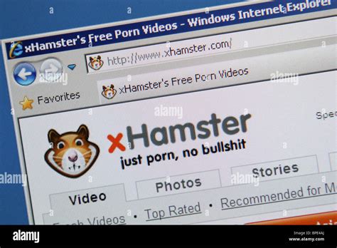 x hamters|xHamster TV Free Porn Videos